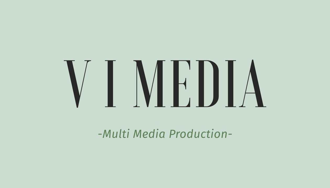 V I Media