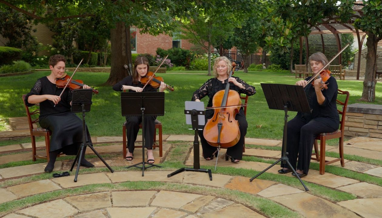 Norman Strings