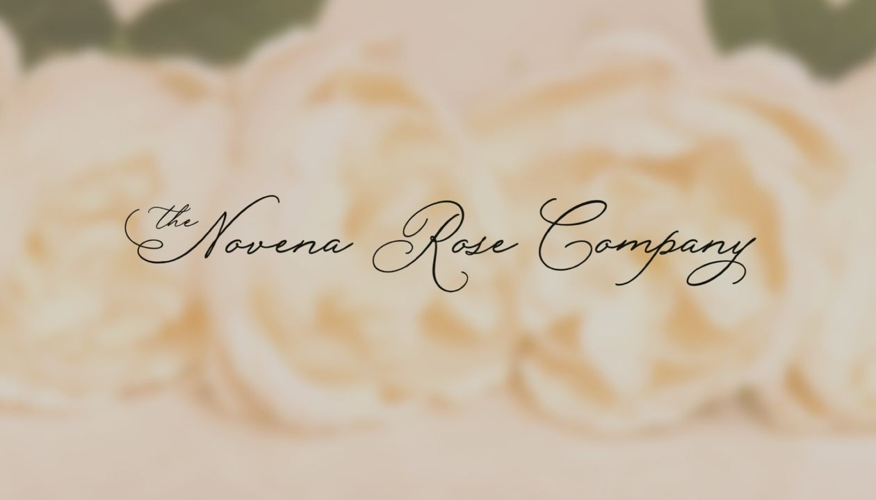 The Novena Rose Company